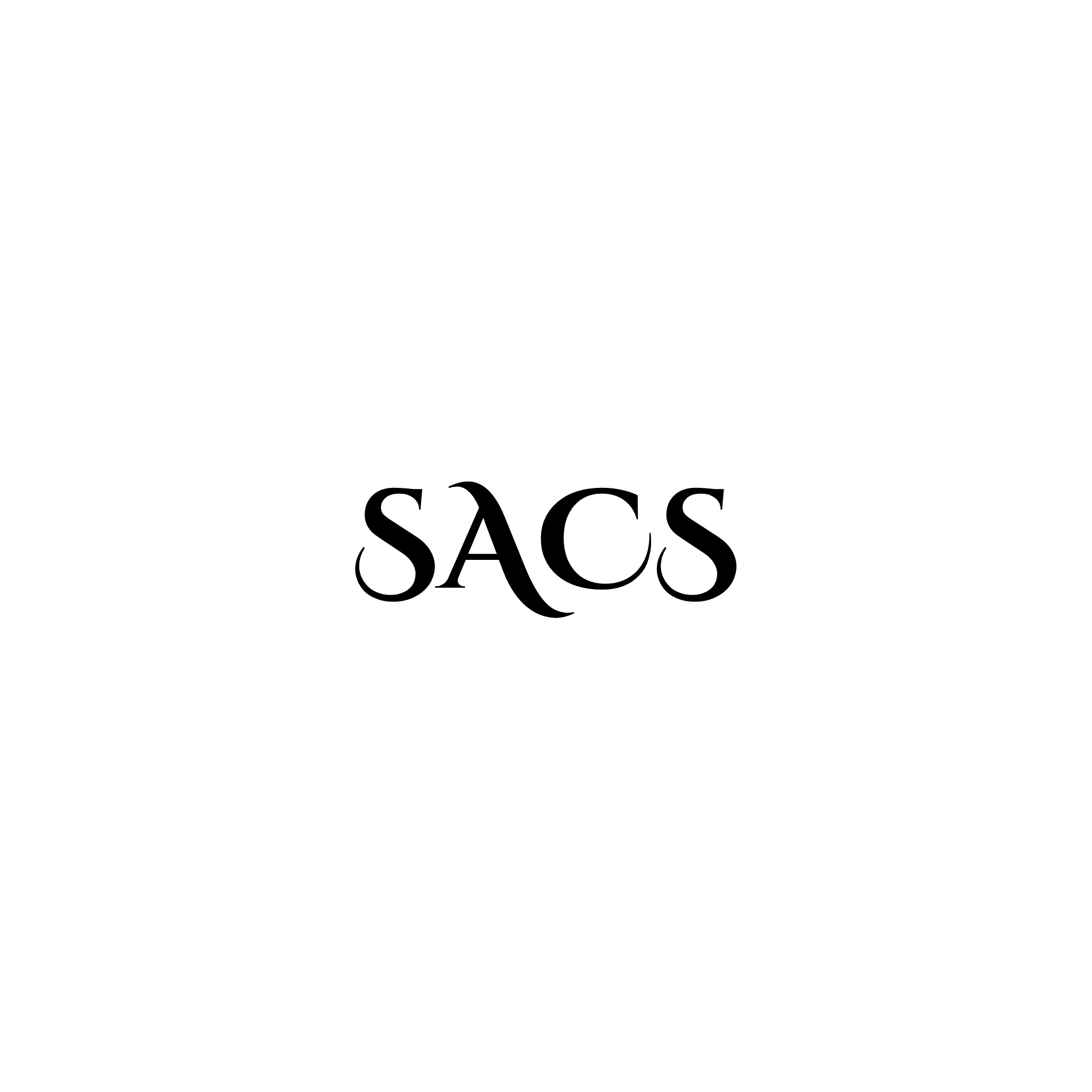 Sacs CHIC BOUTIQUE