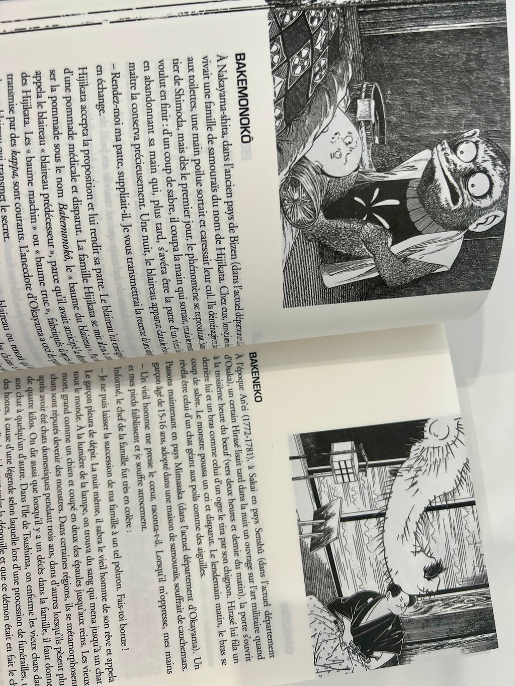 Le dictionnaire des yôkai CHIC BOUTIQUE
