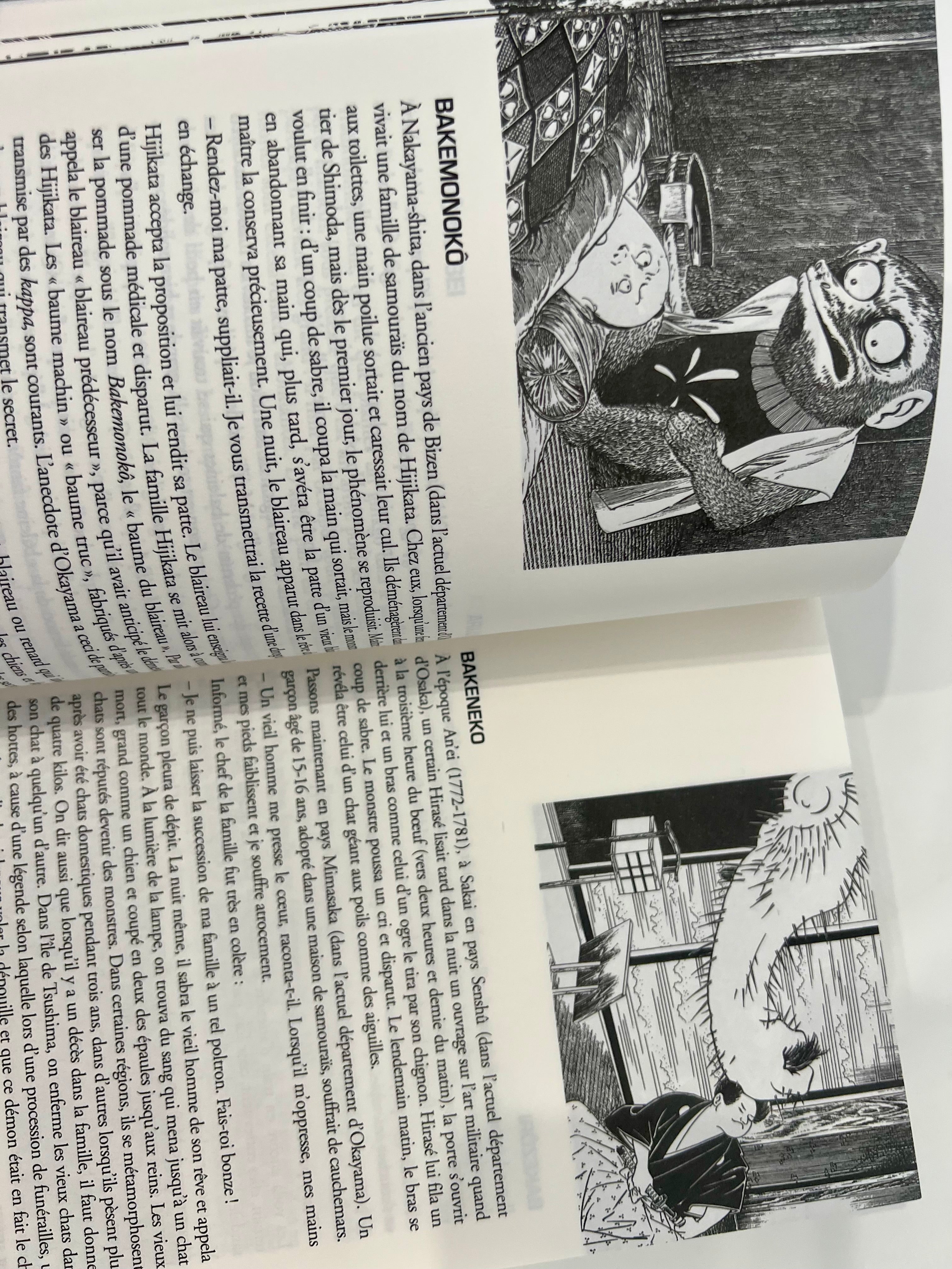 Le dictionnaire des yôkai CHIC BOUTIQUE
